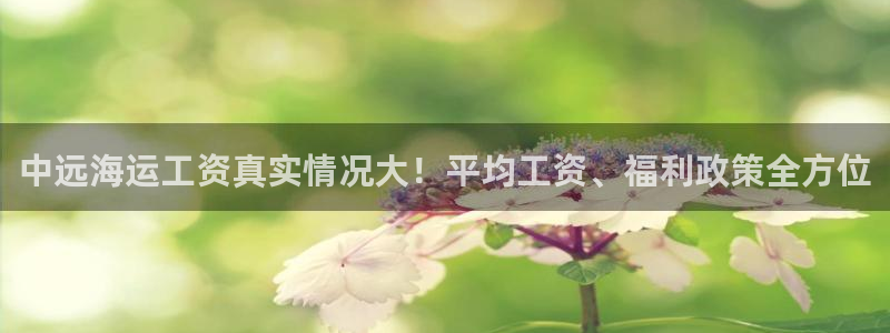 公海欢迎来到赌船