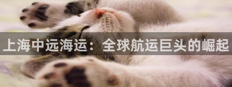 欢迎您来到公海欢迎您来到赌船