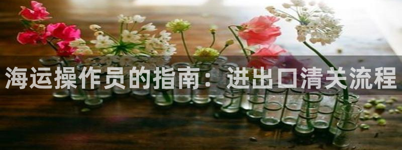 欢迎上船