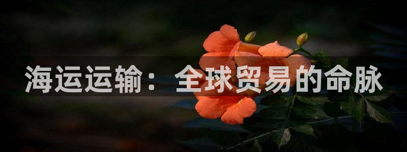欢迎来公海欢迎来到赌船