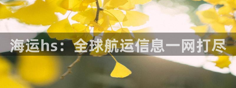 公海欢迎来到