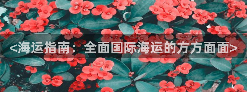 欢迎来到公海.欢迎来到赌船