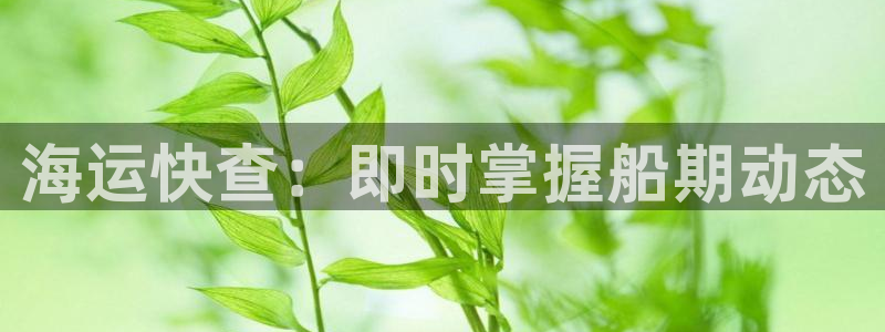 710公海赌赌船有总代理吗