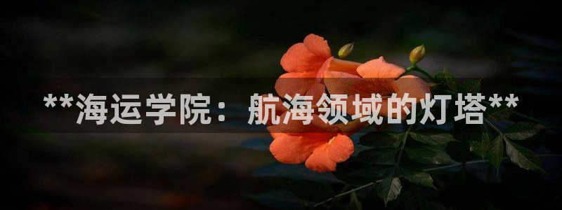 欢迎来到公海7109线路
