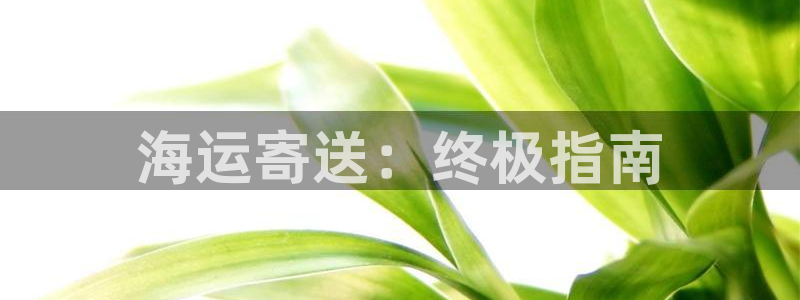 公海赌钱违法吗