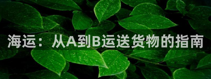 欢迎你来到公海赌