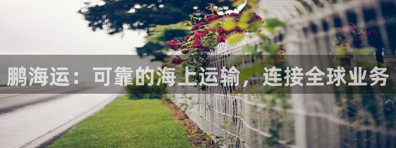 欢迎来到公赌船