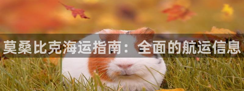 欢迎来公海欢迎来到赌船
