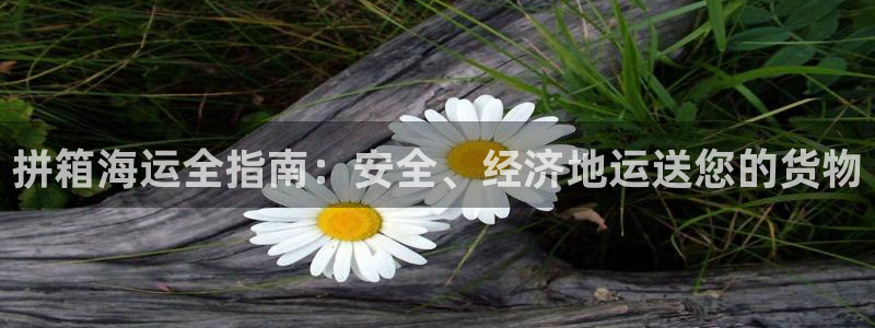 公海赌赌船系统维护要多久