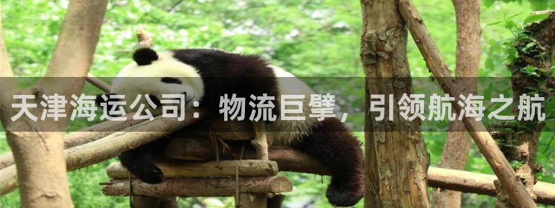 公海赌船官方