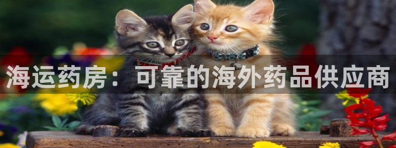 公海赌钱很大吗