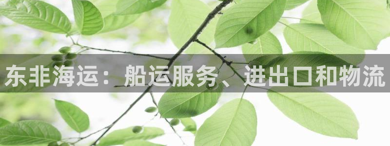 欢迎来到g港