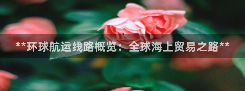 公海船赌网站是多少