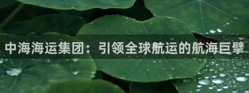 公海赌赌船快速充值