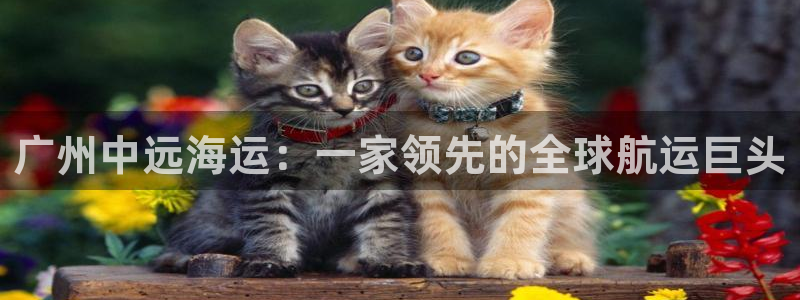 公海赌博为什么不犯法