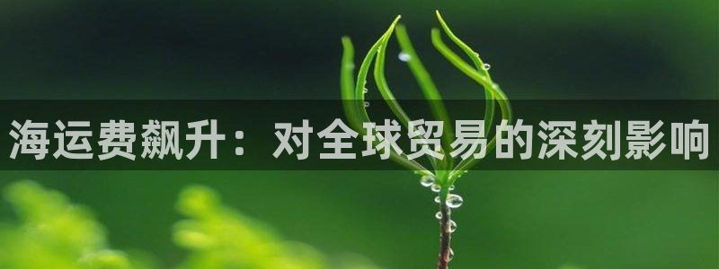 公海赌赌船利息宝是真的吗