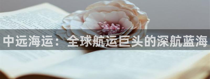 公海赌赌船官网jc710公海