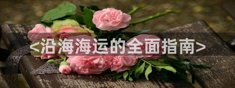 欢迎你来到公海欢迎你来到