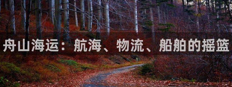 公海赌赌船官网jc710