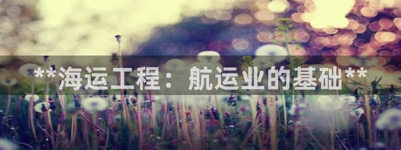 公海赌钱