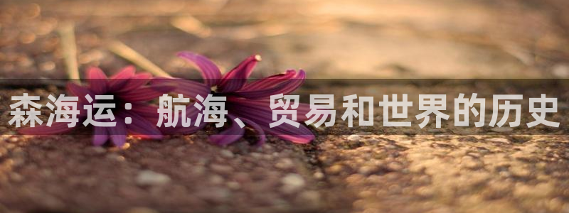 欢迎你来到公海欢迎你来到赌船701