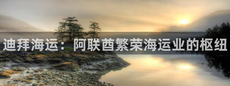 欢迎你来到 公主的海岛