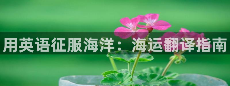 欢迎你来到公海赌