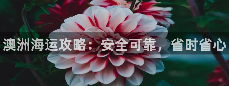 欢迎你来到公海赌