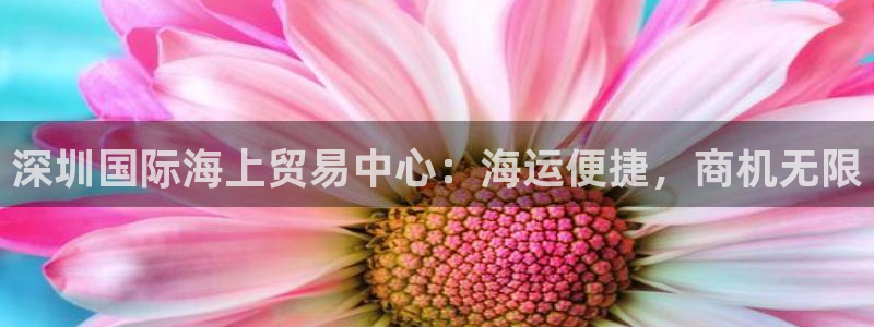 公海赌博怎么处理