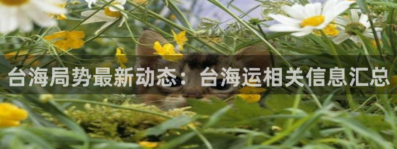 公海赌船官方
