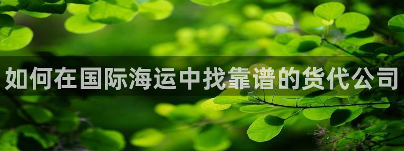 欢迎来到公海710官网