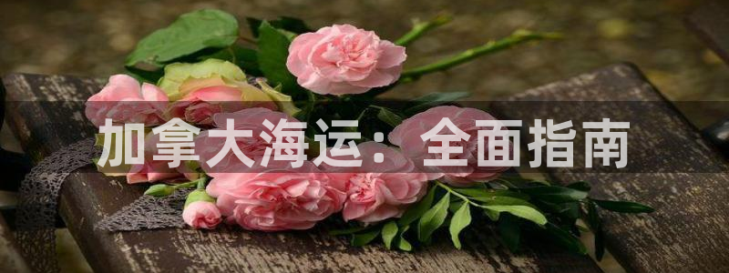 公海赌赌船jcjc710