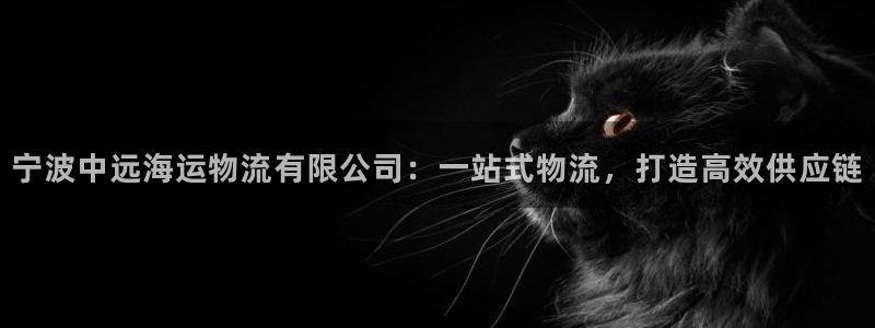欢迎来到海牛星简谱