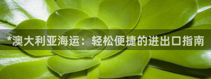 欢迎你来到公主的海岛