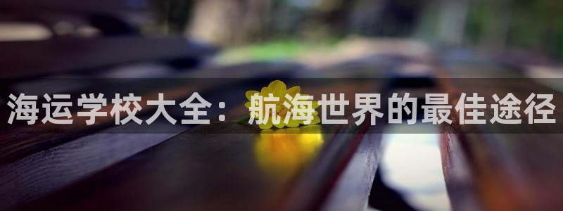 公海赌赌船官网图标