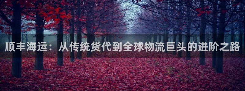 欢迎你来到公主的海岛