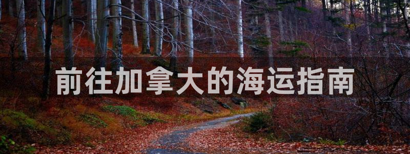 欢迎来到 公园