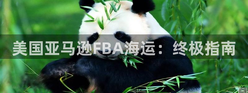 欢迎你来到公海 赌船
