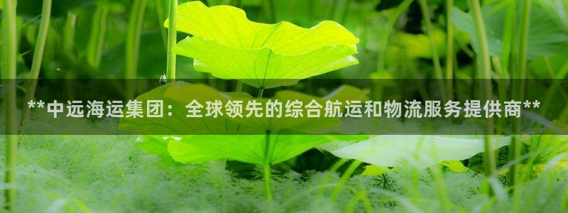 在公海赌博不违法吗