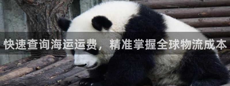 欢迎来到公赌船