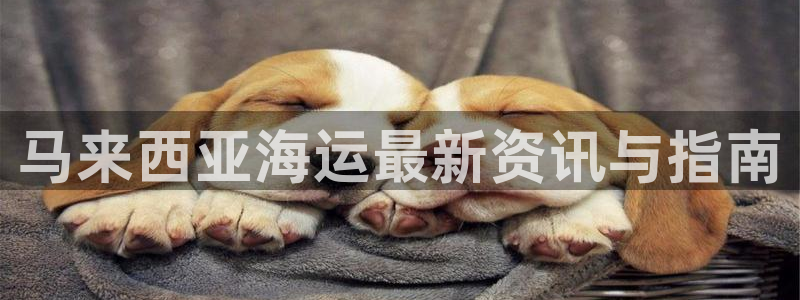 公海赌船怎么样