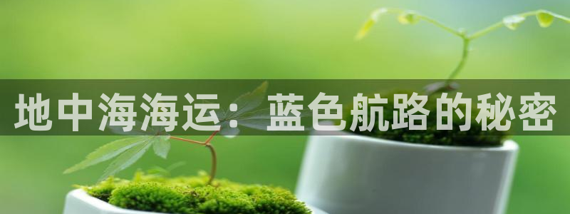 公海赌博犯法吗