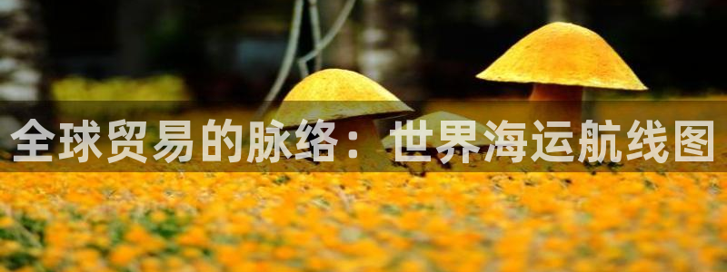 欢迎来到公海欢迎来到赌船