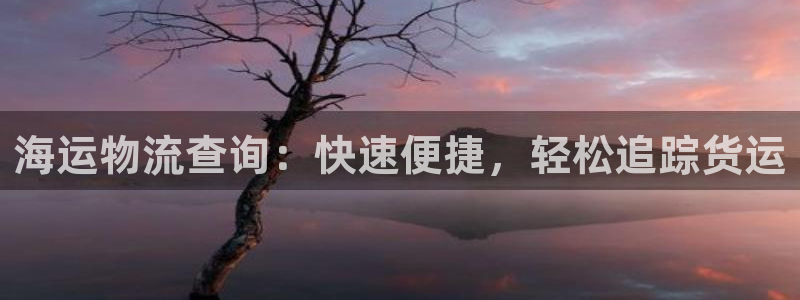 在公海赌博不违法吗